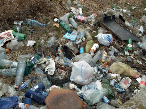 Illegal Dump Environmental Damage by Gabor Szakacs (courtesy: www.publicdomainpictures.net)